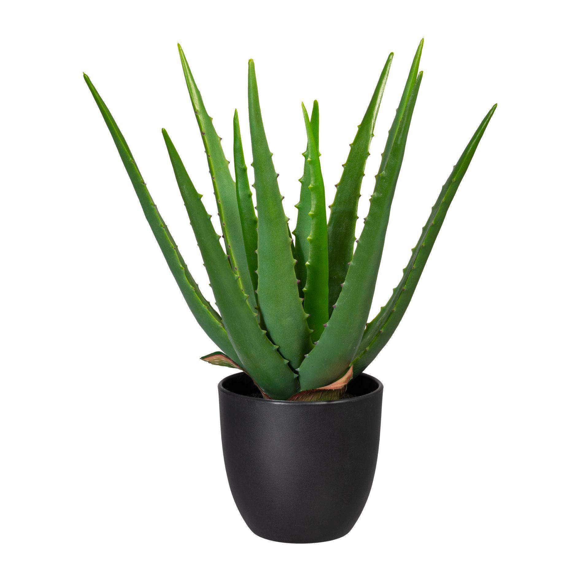 Kunstpflanze Aloe Vera H: 33 cm - Schwarz/Grün, Trend, Kunststoff (33cm) - P & B