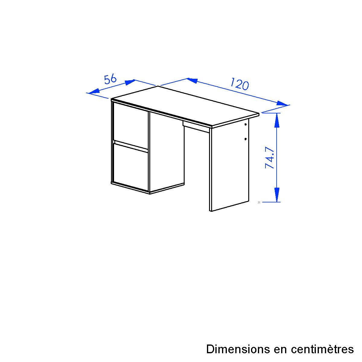 Schreibtisch NAEL B: 120 cm - Eichefarben/Schwarz, Basics, Holzwerkstoff (120/75/56cm)