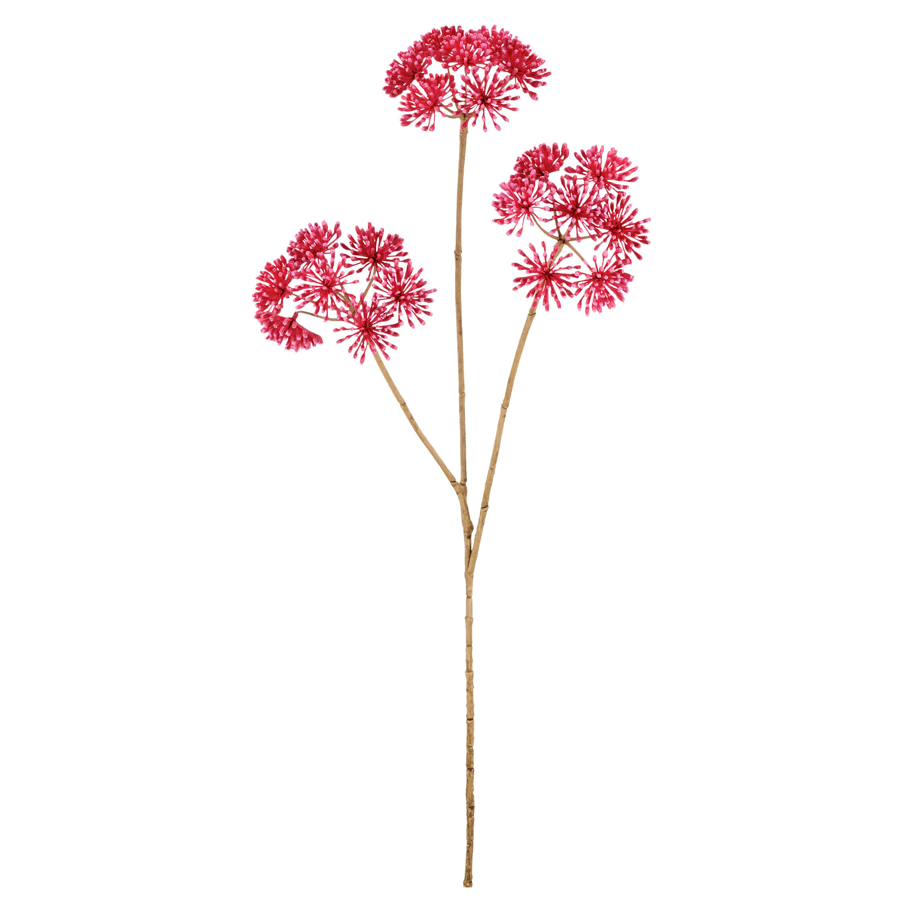 Umelý kvet HERACLEUM I -PAZ- - pink/krémová, Basics, kov/textil (75cm) - Mömax