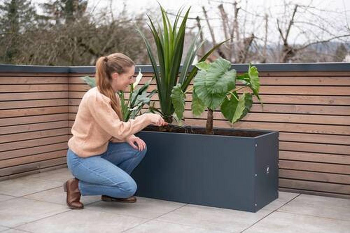 Pflanzentopf Pflanzkasten 150x50x50 - Anthrazit, Basics, Metall (50/50/150cm)