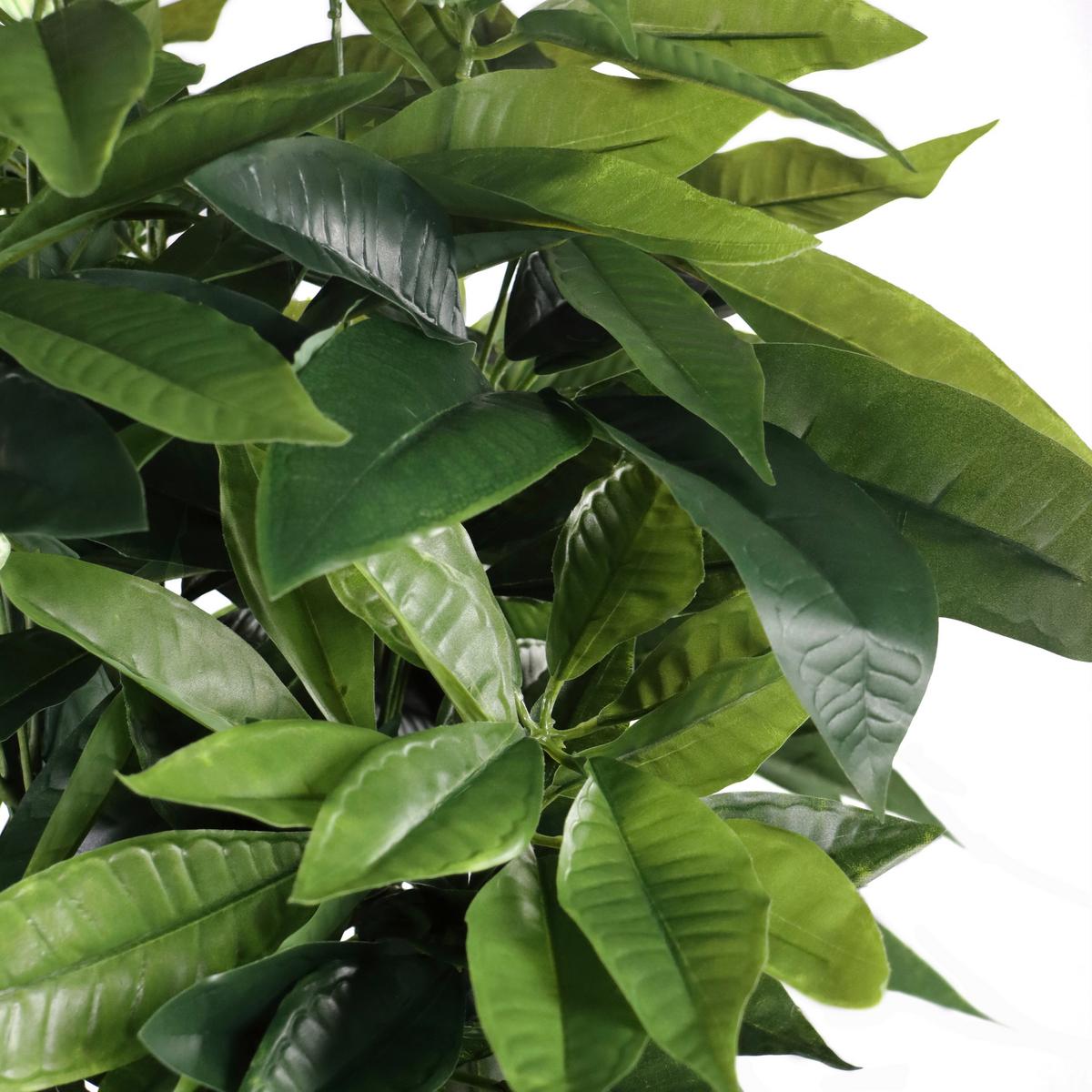 Kunstpflanze Schwarz/grün  B: 66 Cm - Schwarz/Grün, MODERN, Kunststoff (66/160/77cm) - MID.YOU