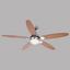 Deckenventilator Rolan - Buchefarben/Graphitfarben, KONVENTIONELL, Glas/Holz (132/40,6cm) Deckenventilator Rolan - Buchefarben/Graphitfarben, KONVENTIONELL, Glas/Holz (132/40,6cm)