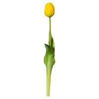 Kunstpflanze Tulpe Gelb L: 44 Cm, Celice - Gelb/Grün, Basics, Kunststoff (44cm)