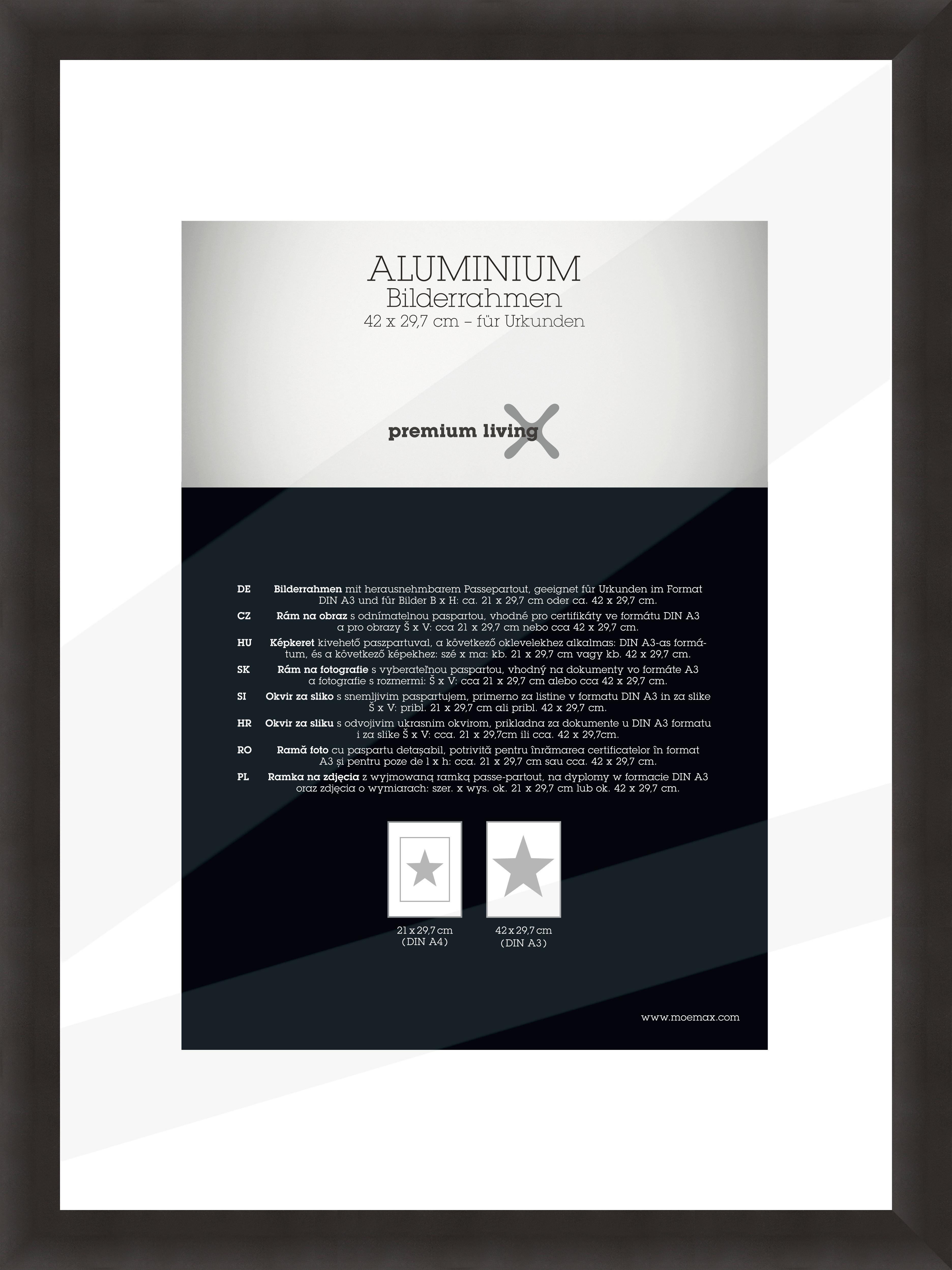 Rám na obrazy 32,8/45,1 cm - čierna, Basics, kov (32,8/45,1/2.2cm) - Premium Living