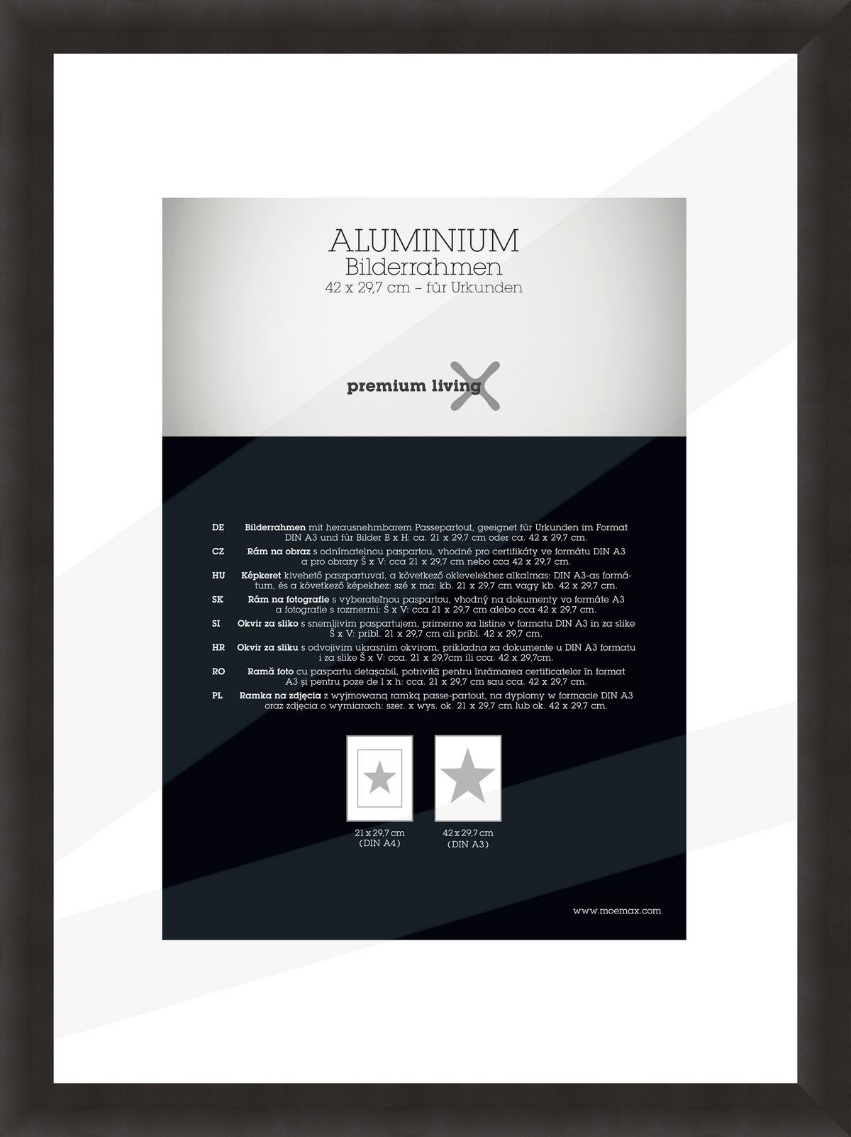 Rám na obrazy 32,8/45,1 cm - černá, Basics, kov (32,8/45,1/2.2cm) - Premium Living