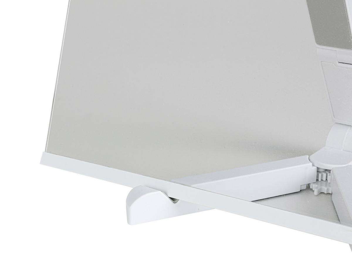 DEKORAČNÉ LED SVIETIDLO MALON - priehľadné/biela, Modern, plast (30/18,4/20cm) - Mömax