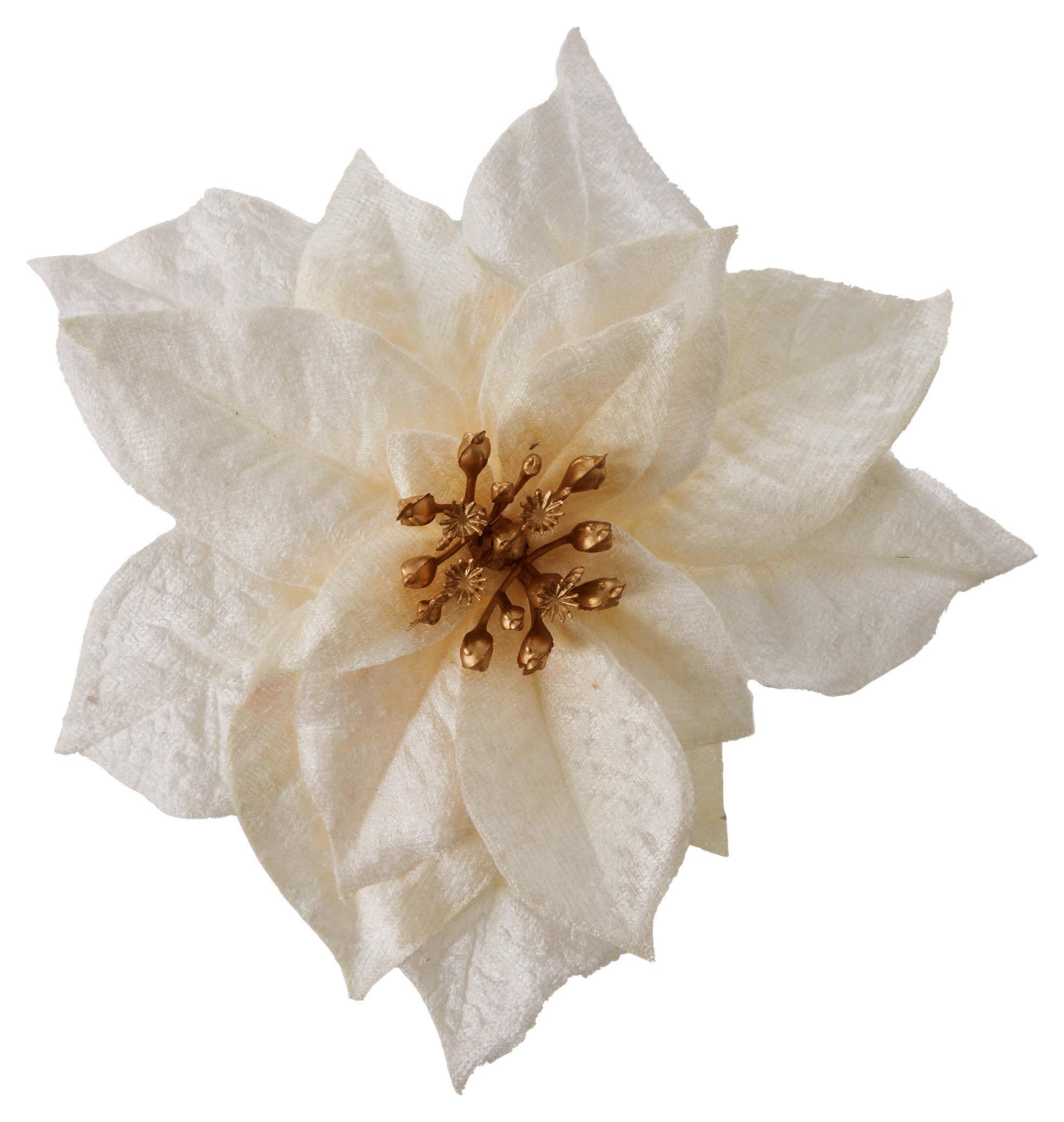 Dekorační květina POINSETIENBLÜTE I -PAZ- - krémová, Konvenční, plast (18cm) - Modern Living