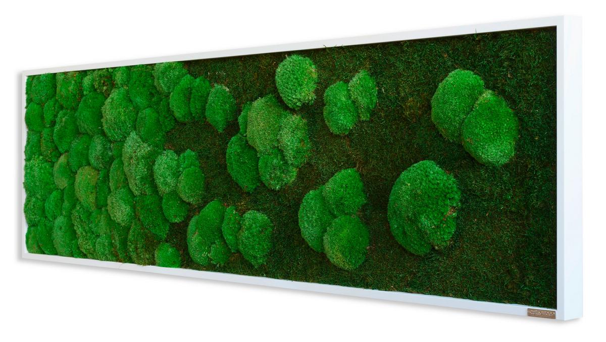 Moosbild Grün B: 140 cm - Weiß/Grün, Basics, Naturmaterialien/Holz (140/40/7cm)