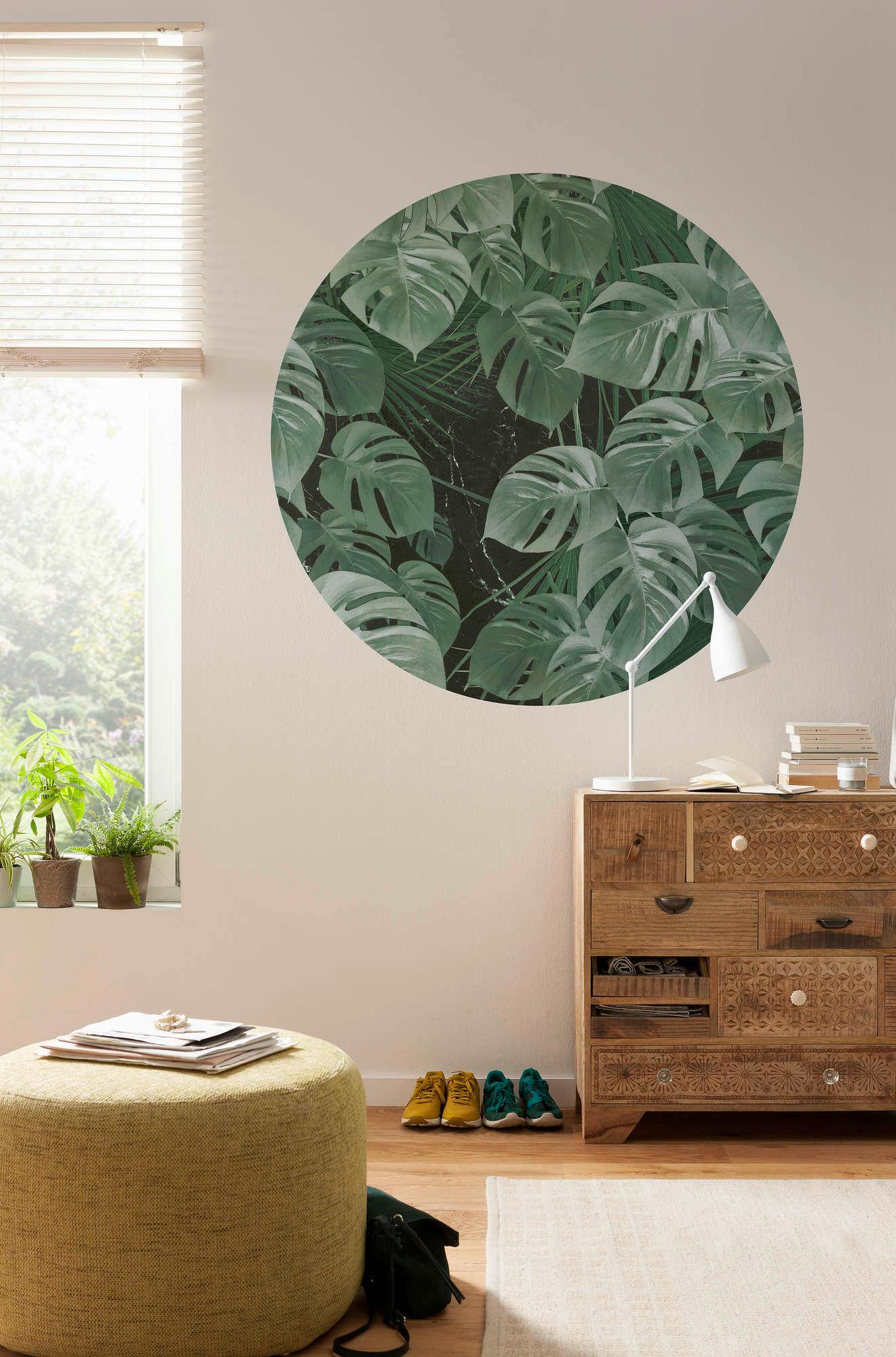 Fototapete Novel Monstera - Grün, Trend, Papier (125cm) - Komar