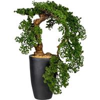 Kunstpflanze Bonsai H: 90 Cm - Schwarz/Braun, Design, Keramik/Kunststoff (90cm) - P & B