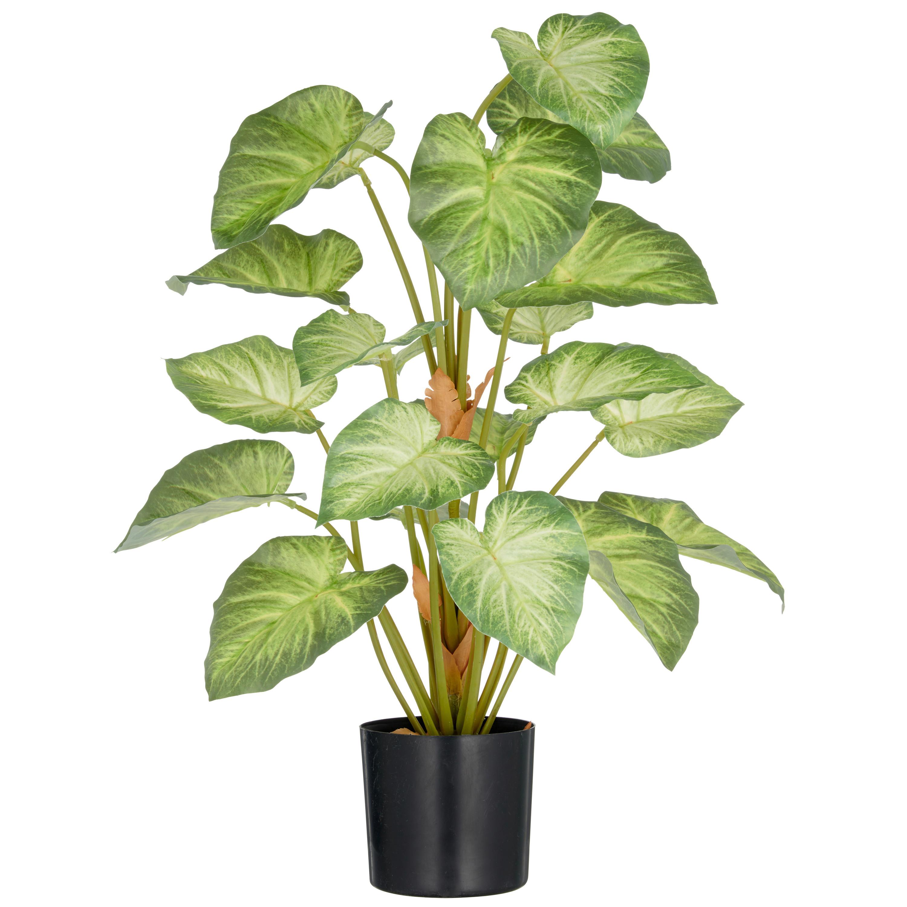 Kunstpflanze Syngonium Kunststoff, Grün, H: 65 cm - Schwarz/Braun, Basics, Kunststoff (65cm) - P & B