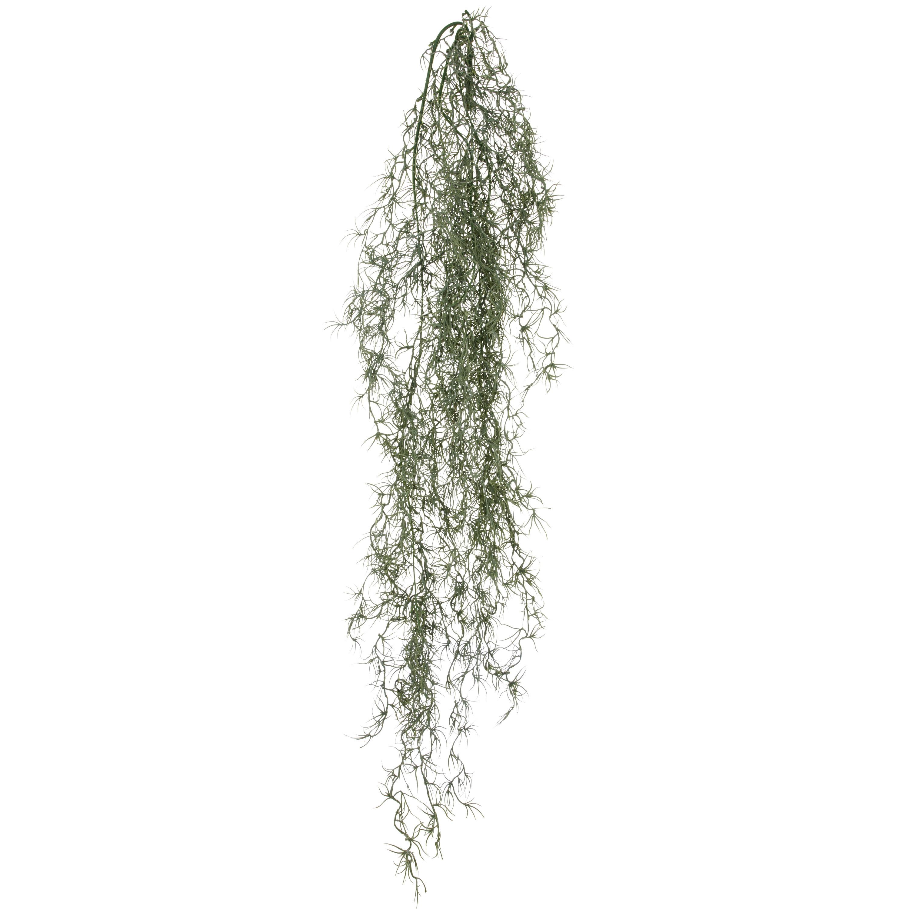 Kunstpflanze Grau Grün B: 25 cm - Grau/Grün, Basics, Kunststoff (25/120/20cm) - P & B