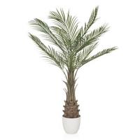 Kunstpflanze Dracaena Braun/weiß/grün B: 70 Cm - Weiß/Braun, MODERN, Kunststoff (70/120/70cm) - MID.YOU