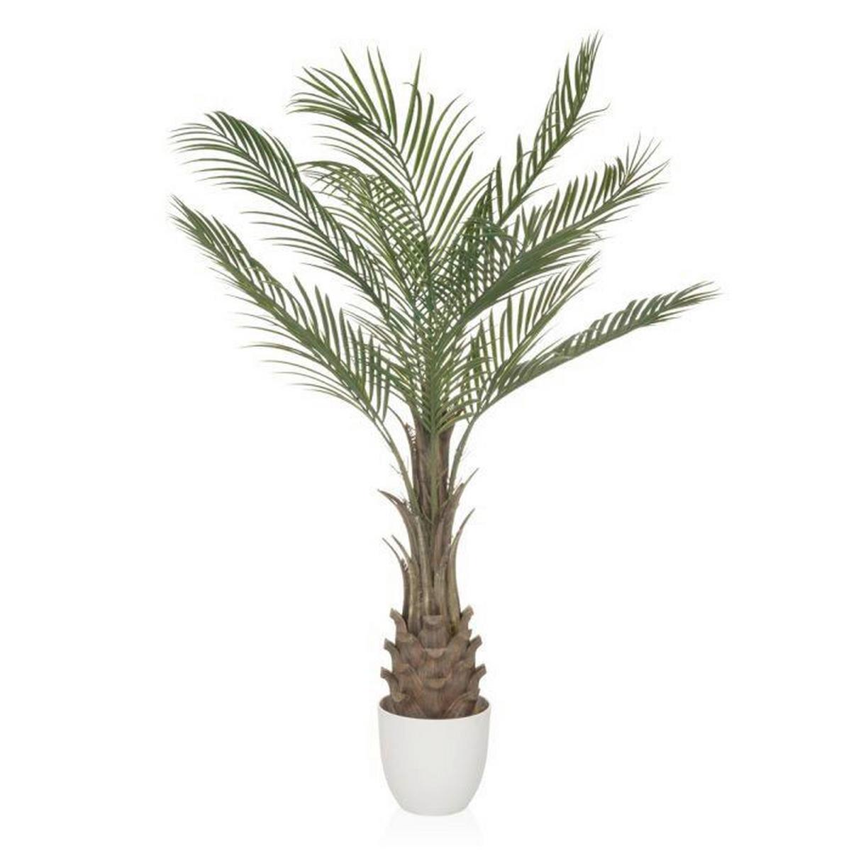 Kunstpflanze Dracaena Braun/weiß/grün B: 70 Cm - Weiß/Braun, MODERN, Kunststoff (70/120/70cm) - MID.YOU