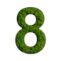 Moosbild Grün B: 25 cm - Schwarz/Grün, Basics, Naturmaterialien/Holz (25/16/2,5cm)