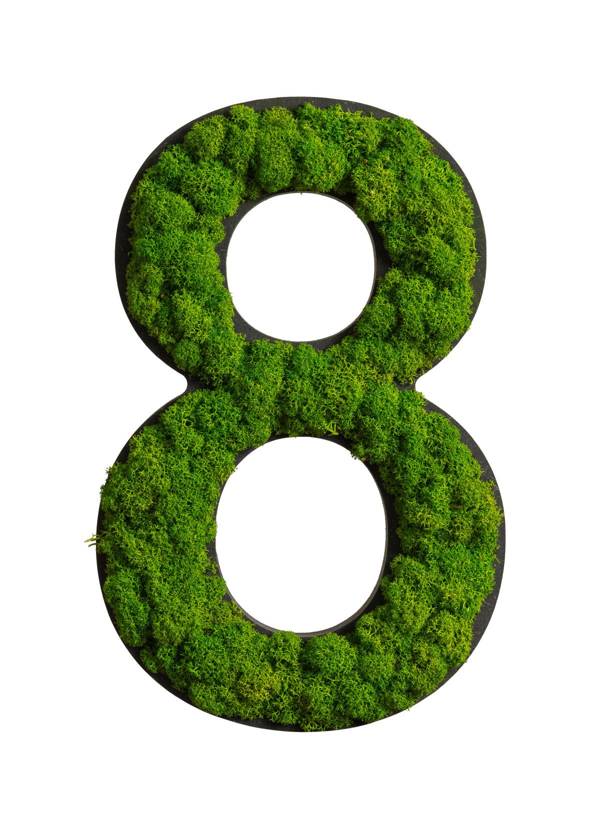 Moosbild Grün B: 25 cm - Schwarz/Grün, Basics, Naturmaterialien/Holz (25/16/2,5cm)