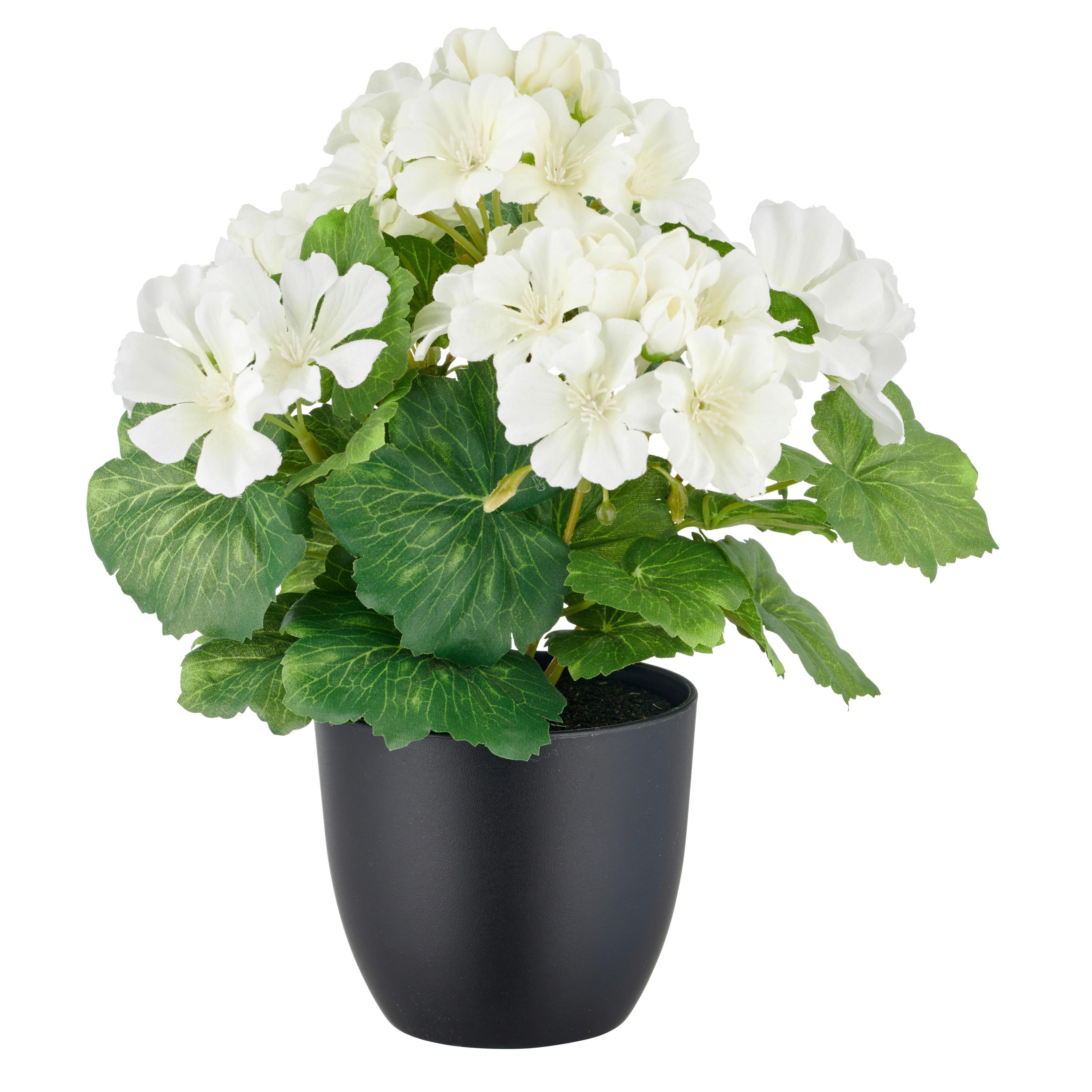 Kunstpflanze Weiß Grün Schwarz B: 14 cm - Schwarz/Weiß, Basics, Kunststoff (14/38/14cm) - P & B