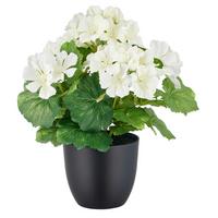 Kunstpflanze Weiß Grün Schwarz B: 14 cm - Schwarz/Weiß, Basics, Kunststoff (14/38/14cm) - P & B