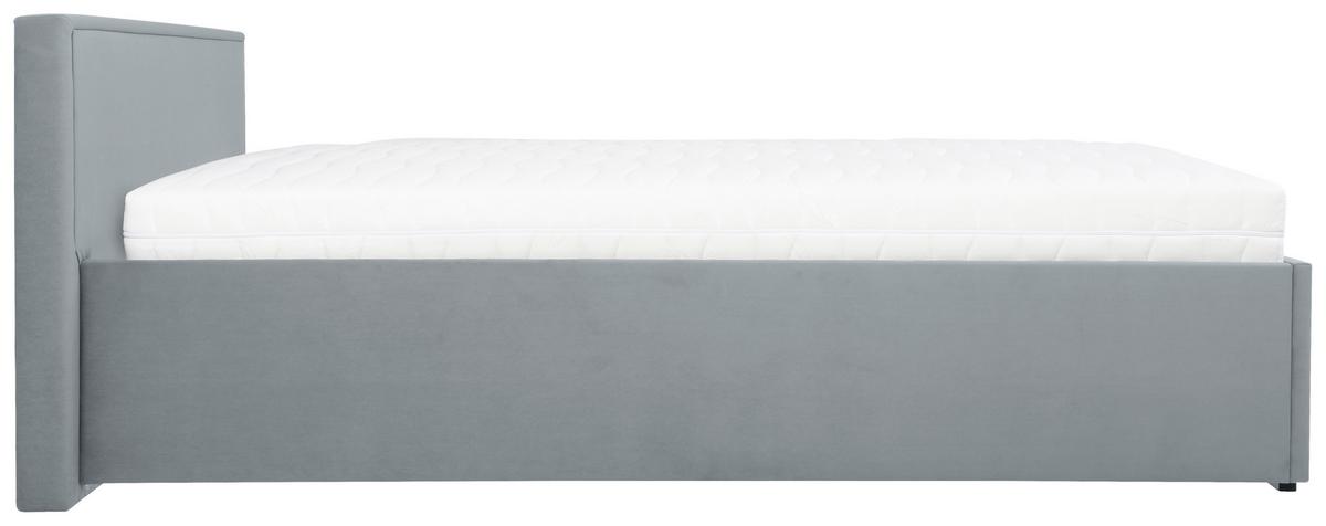 Čalouněná postel ANADIA 90x200cm - šedá/barvy chromu, Moderní, kov/dřevo (90/200cm) - MID.YOU