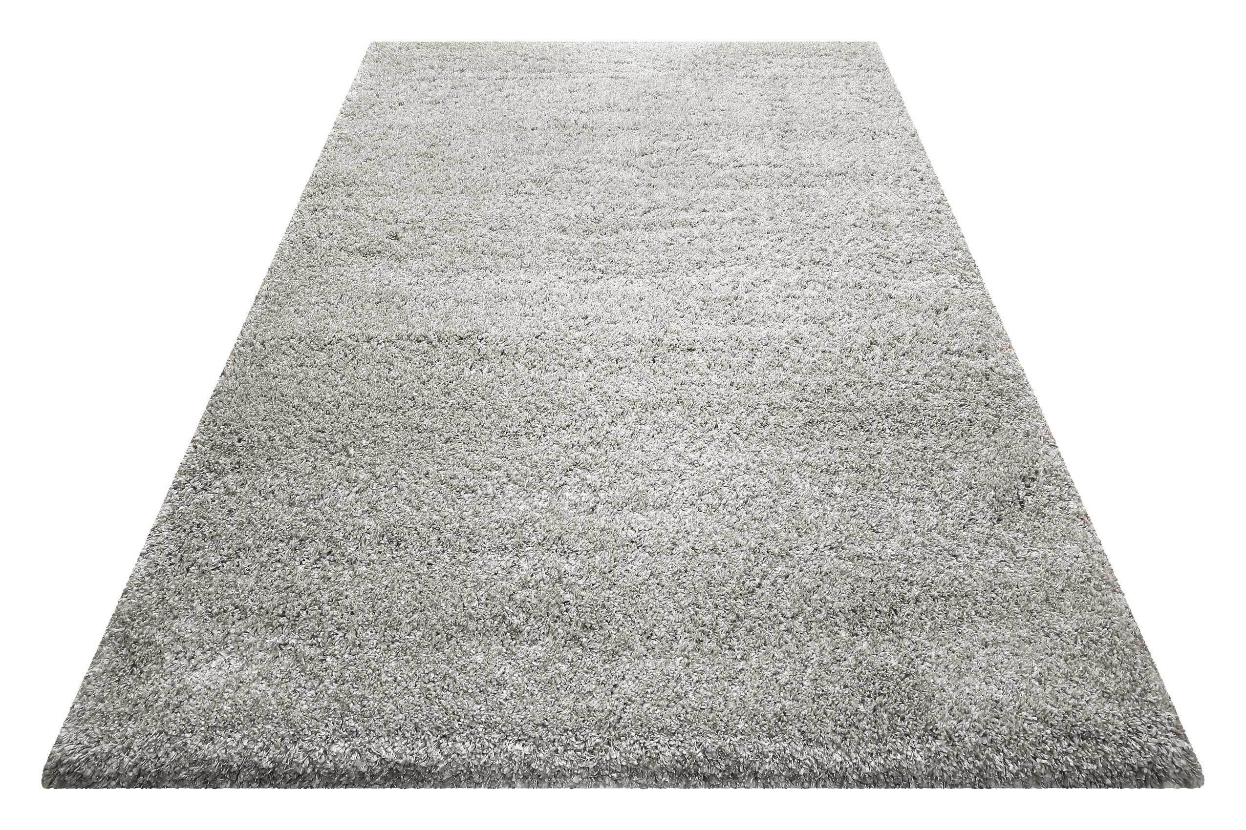 Hochflorteppich Paula - Beige, Design, Textil (120/170cm) - WECON HOME BASIC