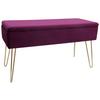 Hockerbank Scarlett Vlies Beere H: 42 cm inkl. Stauraum - Beere/Goldfarben, Design, Textil (75/42/30cm) - Echtwerk