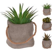 Műnövény Plant - műanyag (8/8/13cm)