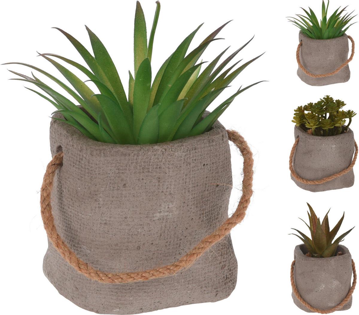 Műnövény Plant - műanyag (8/8/13cm)