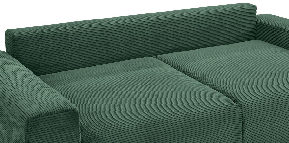 Schlafsofa Vouge Grün Bettkasten, B: 255 Cm - Buchefarben/Schwarz, KONVENTIONELL, Textil (255/86/123cm) - Livetastic