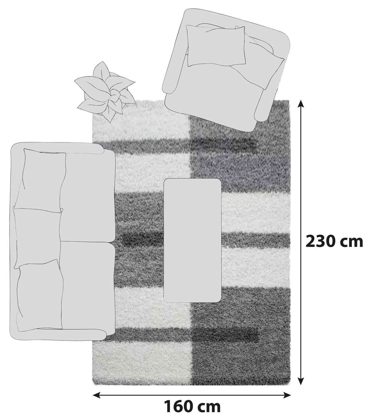 Hochflor Teppich Hellgrau Gala 160x230 cm - Hellgrau, Design, Textil (160/230cm)