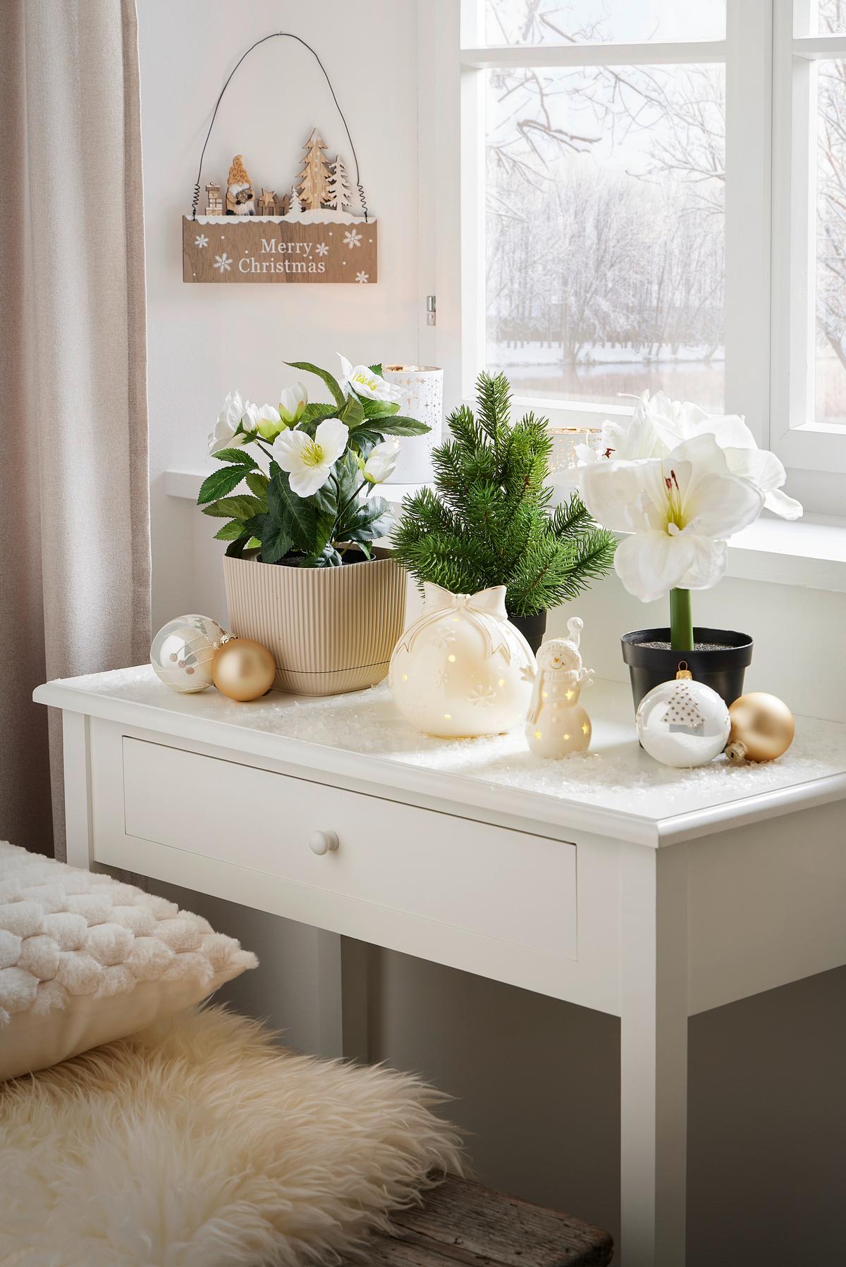 Amaryllis Amaryllis - Braun/Weiß, KONVENTIONELL, Kunststoff (32cm)