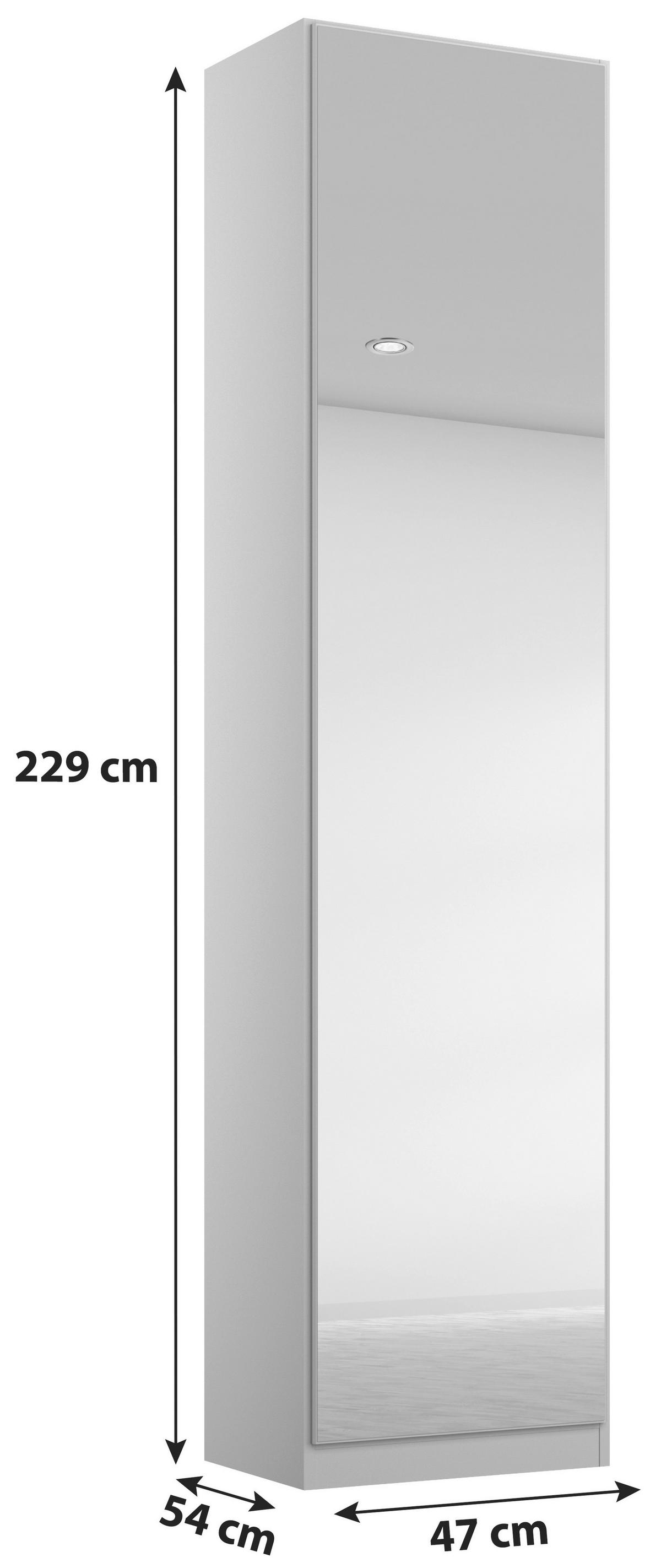 Drehtürenschrank Mit Spiegel 47 Cm Alabama, Seidengrau - Silberfarben/Hellgrau, MODERN, Holzwerkstoff (47/229/54cm)