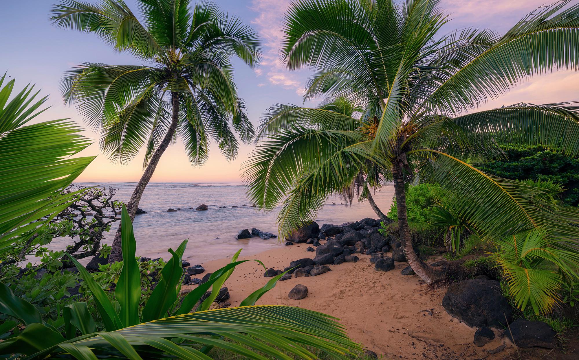 Fototapete Hawaiian Dreams - Multicolor, Trend, Textil (450/280cm)
