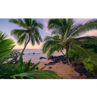 Fototapete Hawaiian Dreams - Multicolor, Trend, Textil (450/280cm)