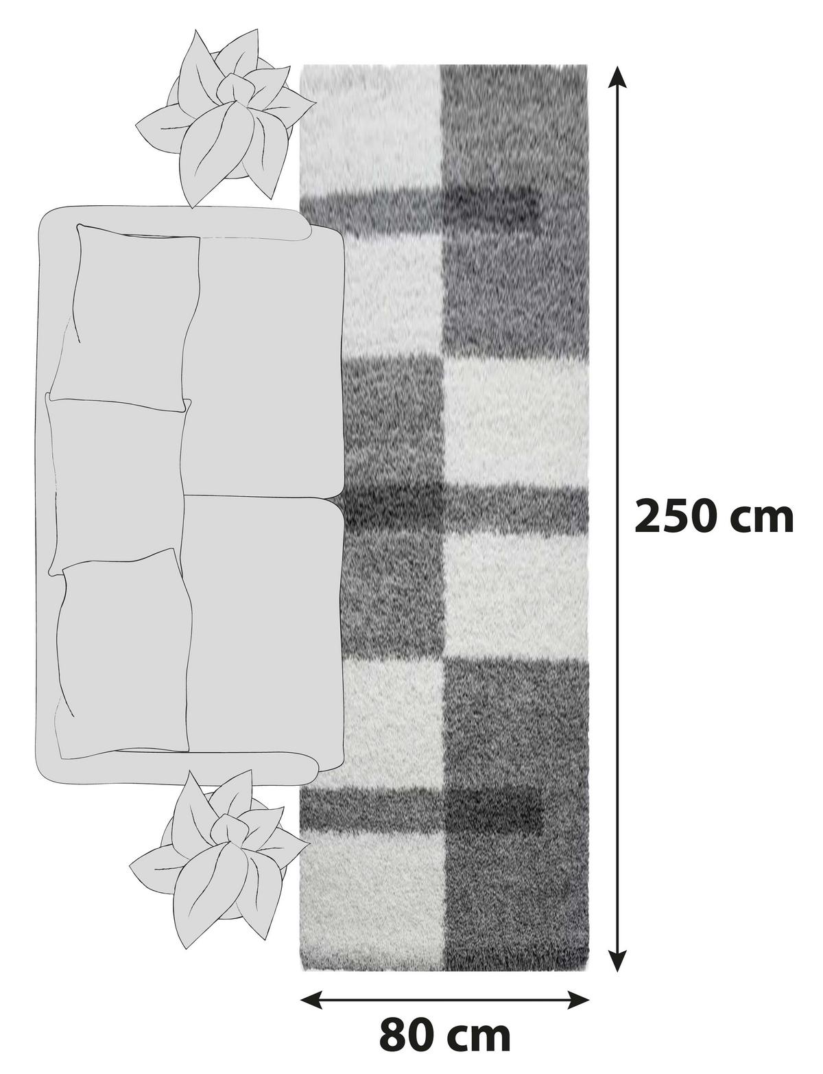 Hochflor Teppich Hellgrau Gala 80x250 cm - Hellgrau, Design, Textil (80/250cm)