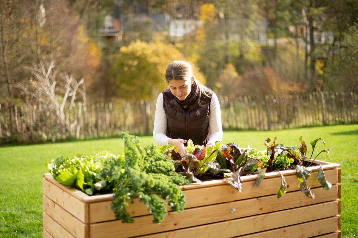 Hochbeet Holz Hochbeet Fichte XL - Fichtefarben, Basics, Holz (70/90/170cm)
