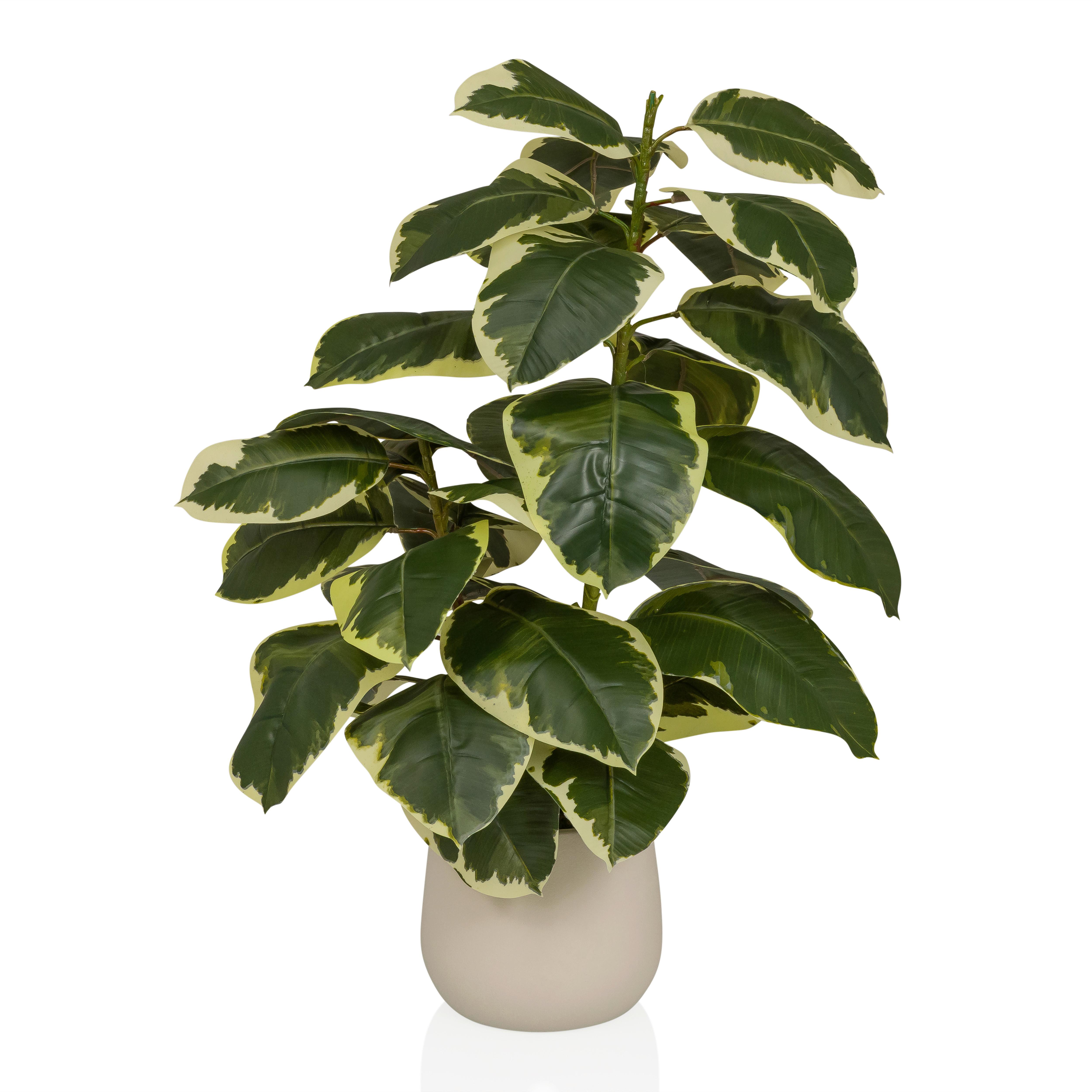 Kunstpflanze Ficus Dunkelgrün/Grasgrün B: 60cm - Dunkelgrün/Creme, MODERN, Kunststoff/Metall (60/85/55cm) - MID.YOU