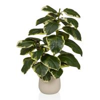 Kunstpflanze Ficus Dunkelgrün/Grasgrün B: 60cm - Dunkelgrün/Creme, MODERN, Kunststoff/Metall (60/85/55cm) - MID.YOU
