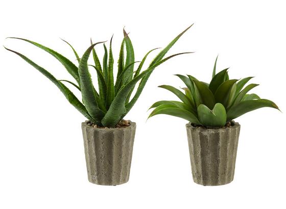 Umelá Rastlina Agave I - plast (15/50cm) Umelá Rastlina Agave I - plast (15/50cm)
