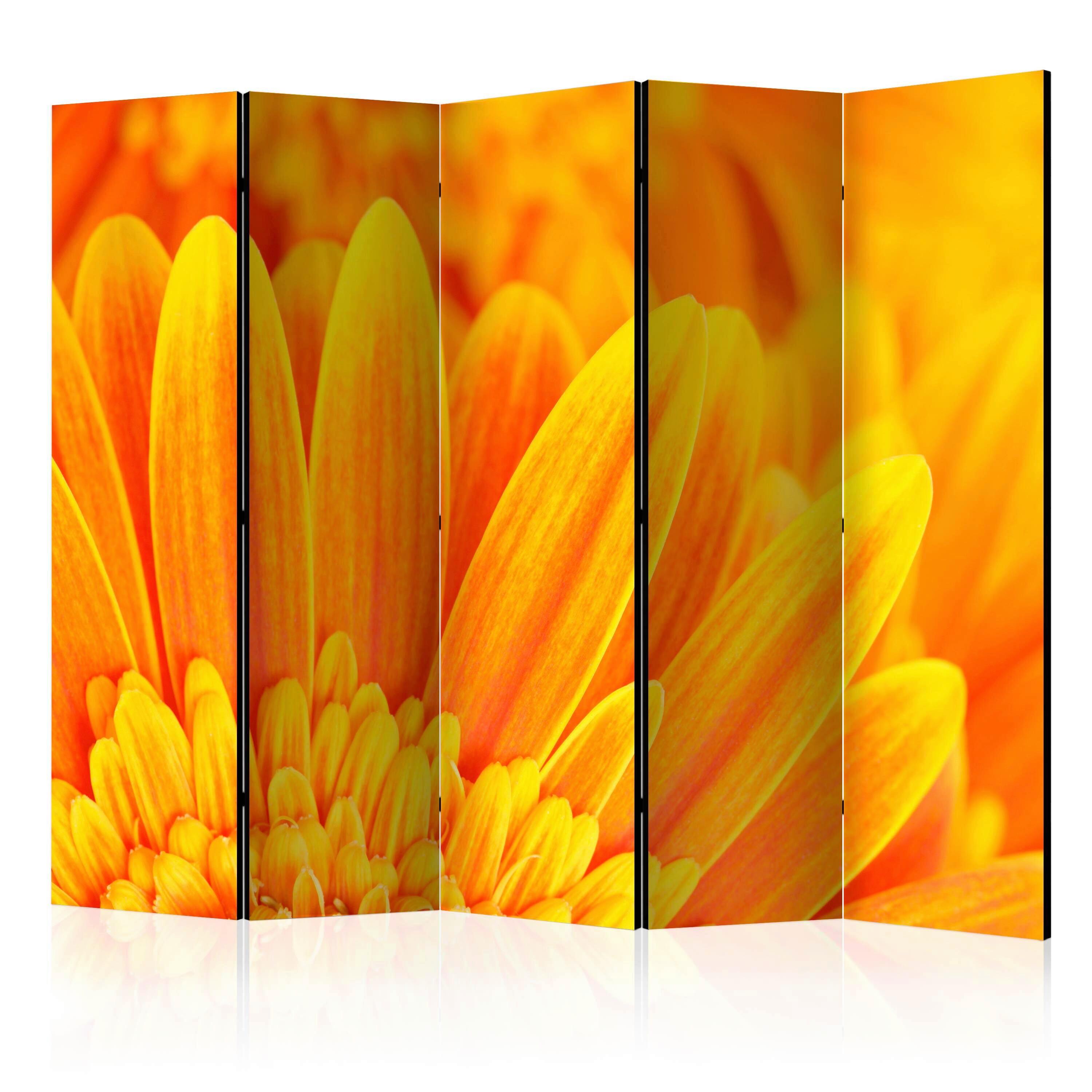 Paravent Gelb Orange B: 225 cm