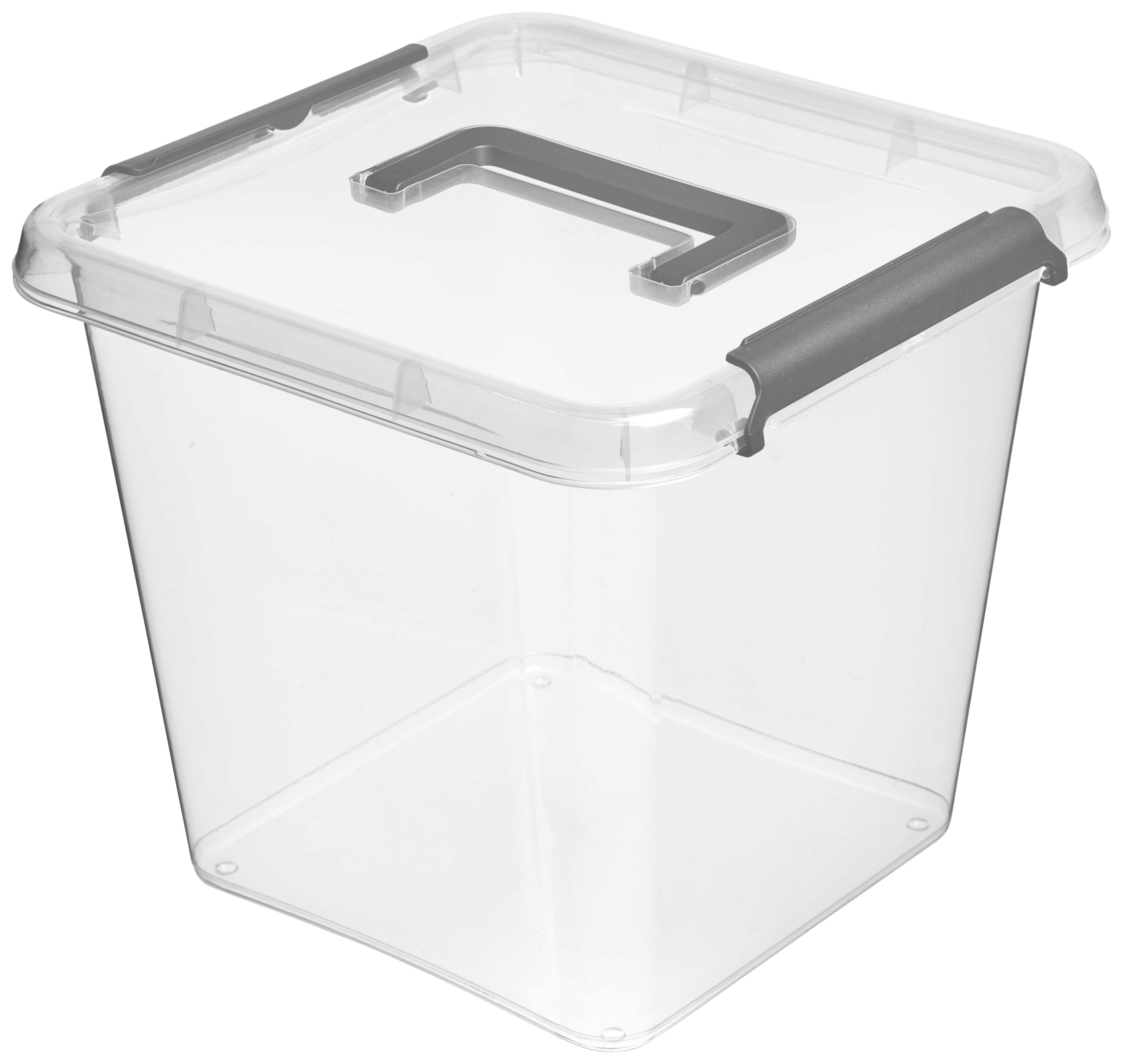 Aufbewahrungsbox Larissa Mit Deckel Kunststoff 29x29x26 cm - Transparent, Basics, Kunststoff (29/29/26cm) - Homezone