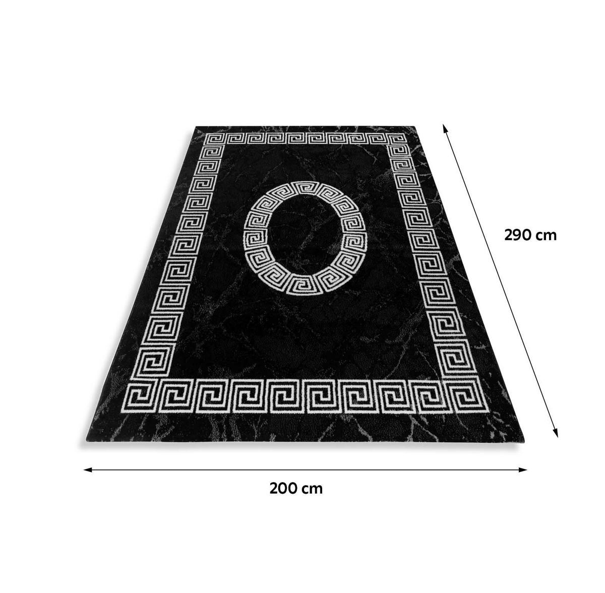 Webteppich Schwarz/Weiß Naturfaser Plus 200x290 cm - Schwarz/Weiß, Design, Textil (200/290cm)