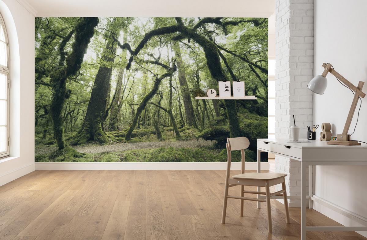 Fototapete Ancient Green - Grün, Trend, Textil (450/280cm)