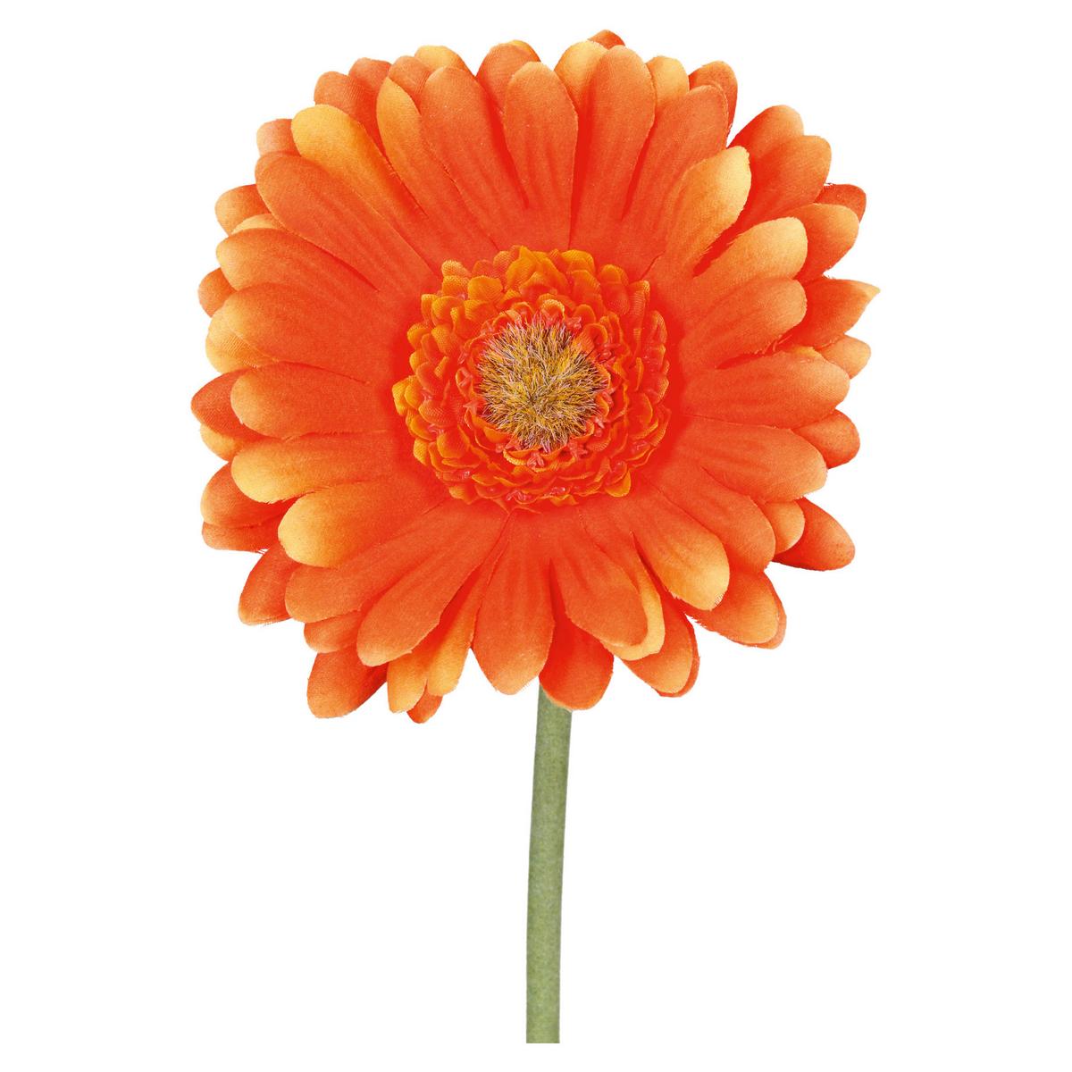 Umělá květina GERBERA, Výška: 50 cm - oranžová/zelená, Konvenční, plast (50cm) - Mömax