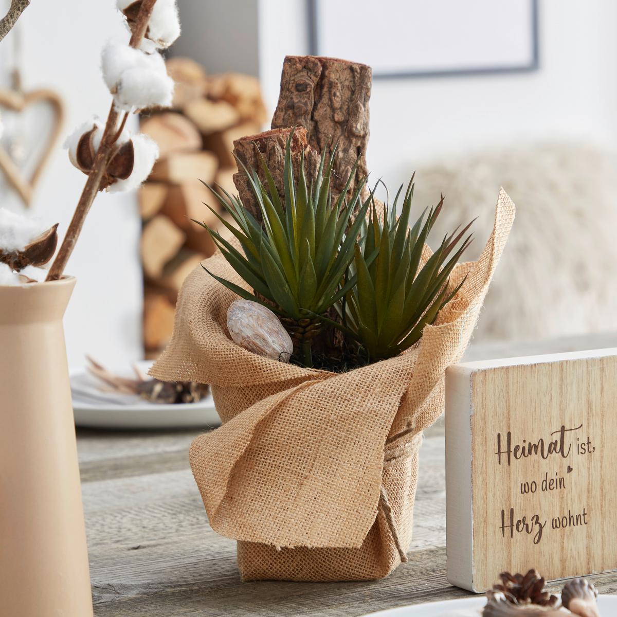 Kunstpflanze Sukkulente Grün/ Naturfarben L: 30 cm, Sunniva - Naturfarben/Grün, MODERN, Karton/Naturmaterialien (13/30cm) - Luca Bessoni