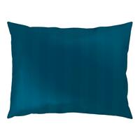 POTAH NA POLŠTÁŘ XENIA STREIF - modrá, Moderní, textil (40/60cm) - Premium Living