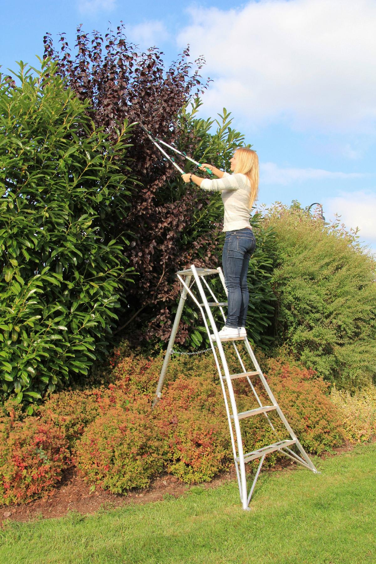 Leiter 3-Holm-Gartenleiter 180cm - Silberfarben, Basics, Metall (125/180/20cm)