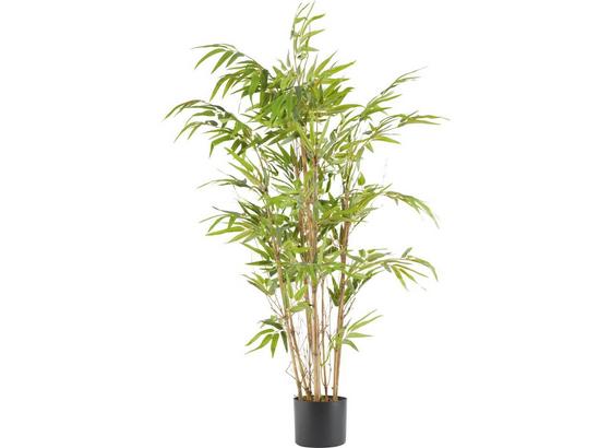 Umelá Rastlina Noah - hnedá/zelená, plast (120cm) - Mömax modern living Umelá Rastlina Noah - hnedá/zelená, plast (120cm) - Mömax modern living