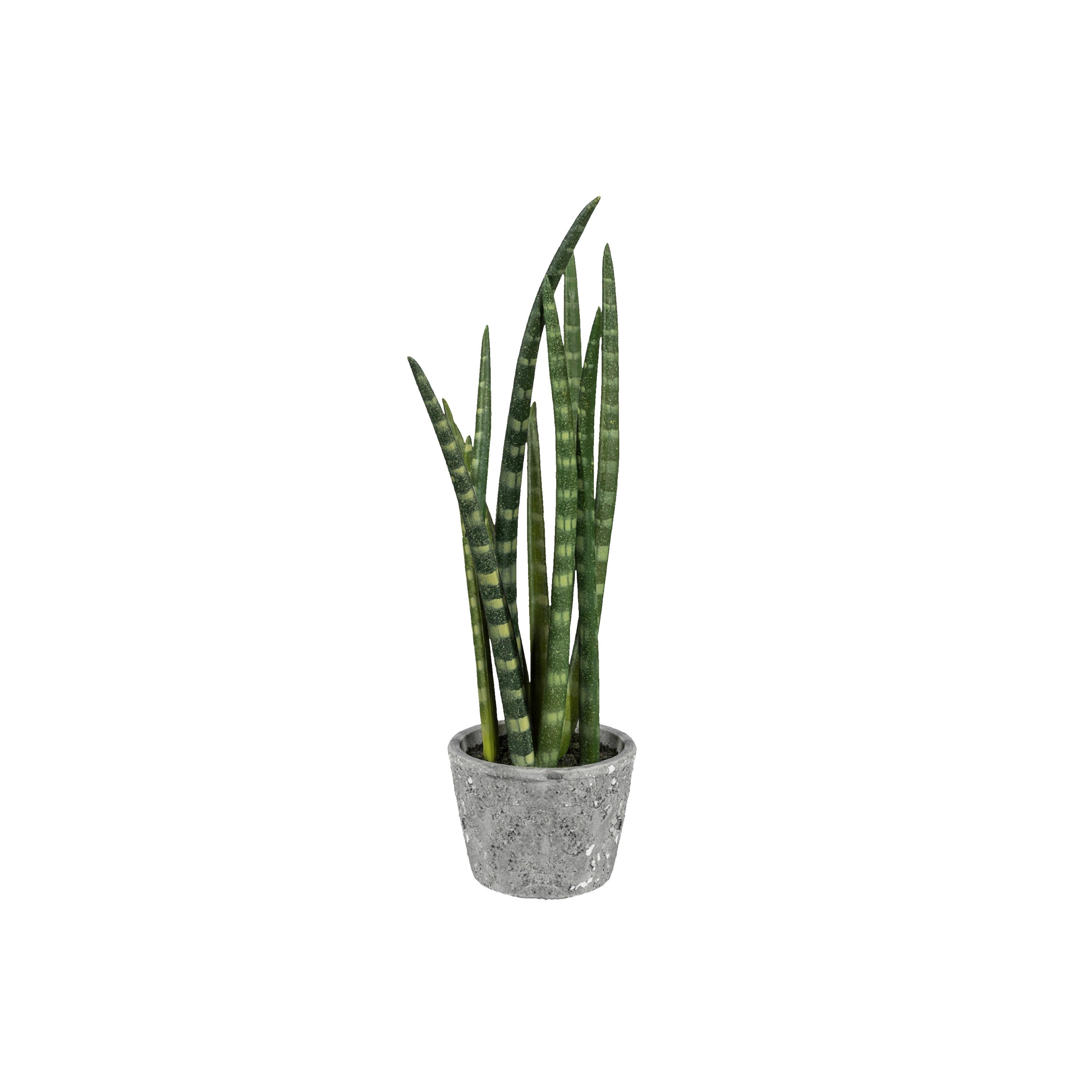 Kunstpflanze Sukkulenten, Gelb Grau, Grün, inkl.topf, H:45 cm - Gelb/Grau, Design, Keramik/Kunststoff (45cm) - P & B