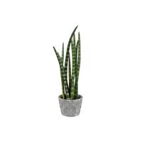 Kunstpflanze Sukkulenten, Gelb Grau, Grün, inkl.topf, H:45 cm - Gelb/Grau, Design, Keramik/Kunststoff (45cm) - P & B