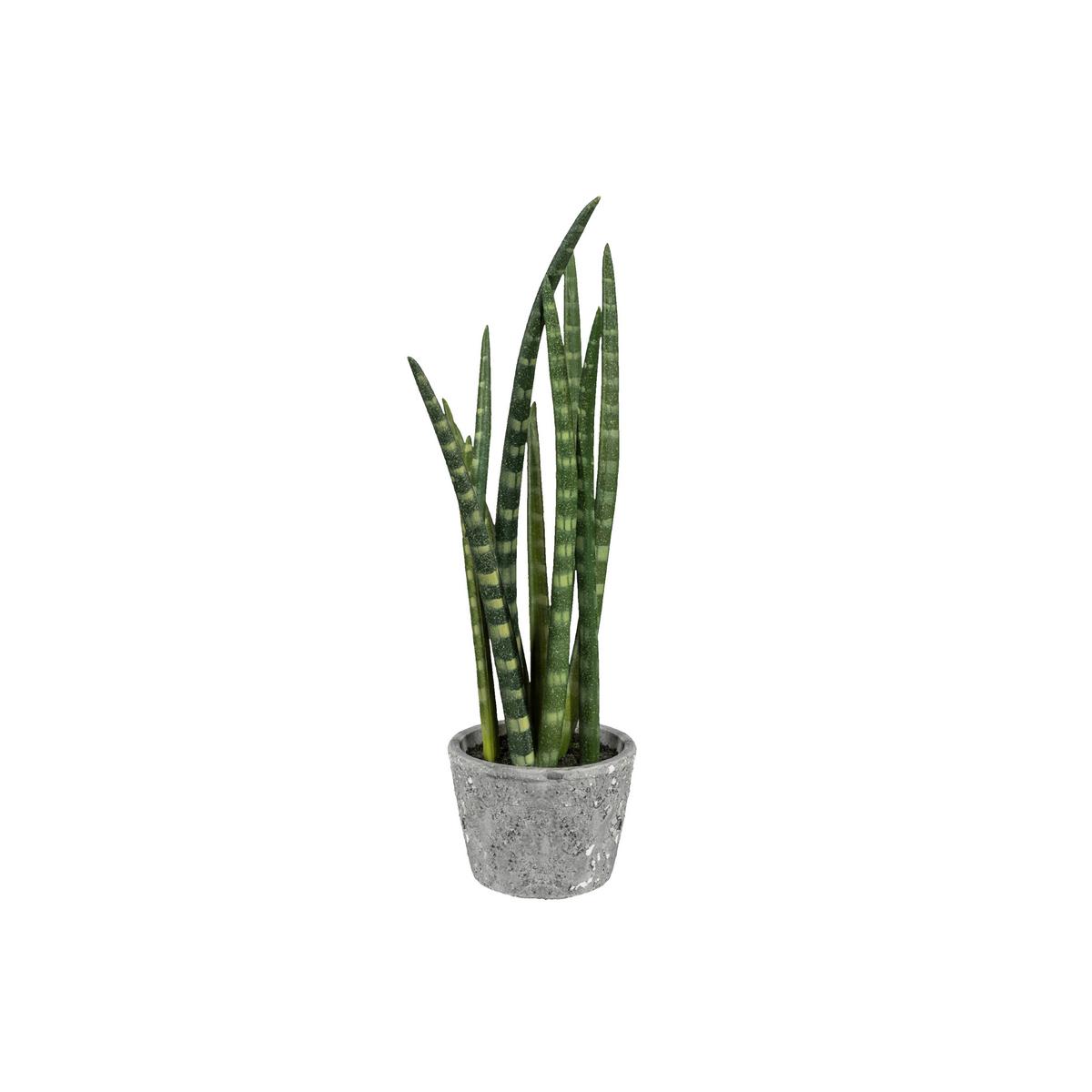 Kunstpflanze Sukkulenten, Gelb Grau, Grün, inkl.topf, H:45 cm - Gelb/Grau, Design, Keramik/Kunststoff (45cm) - P & B